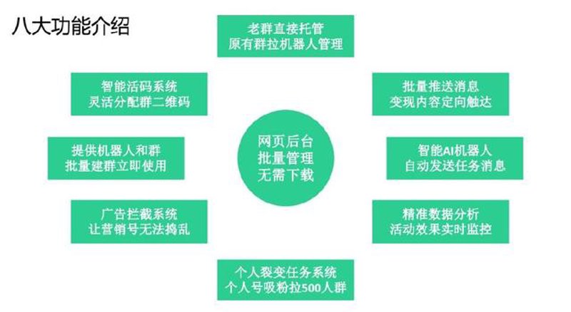 站群程序出售市场趋势与机遇