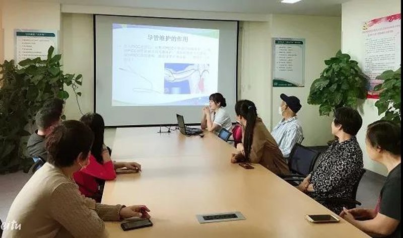 站群系统在现代网络营销中的应用与演进